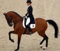 Dressage